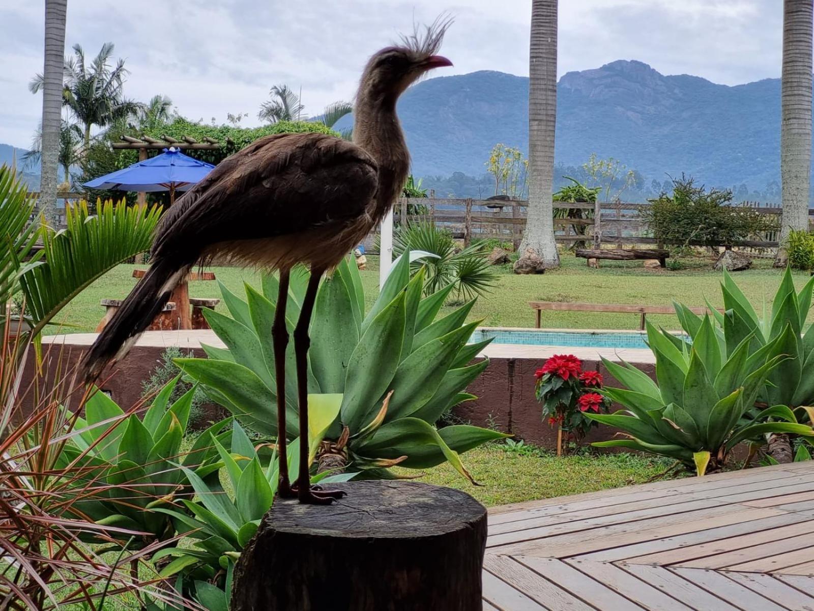 Contempla Joanopolis Hotel Luaran gambar