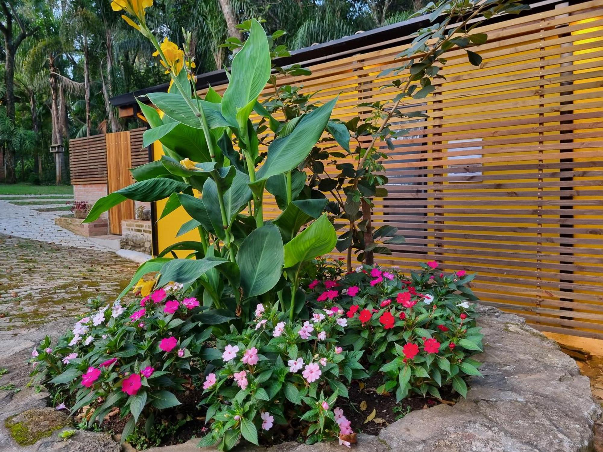 Contempla Joanopolis Hotel Luaran gambar